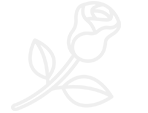 shape45